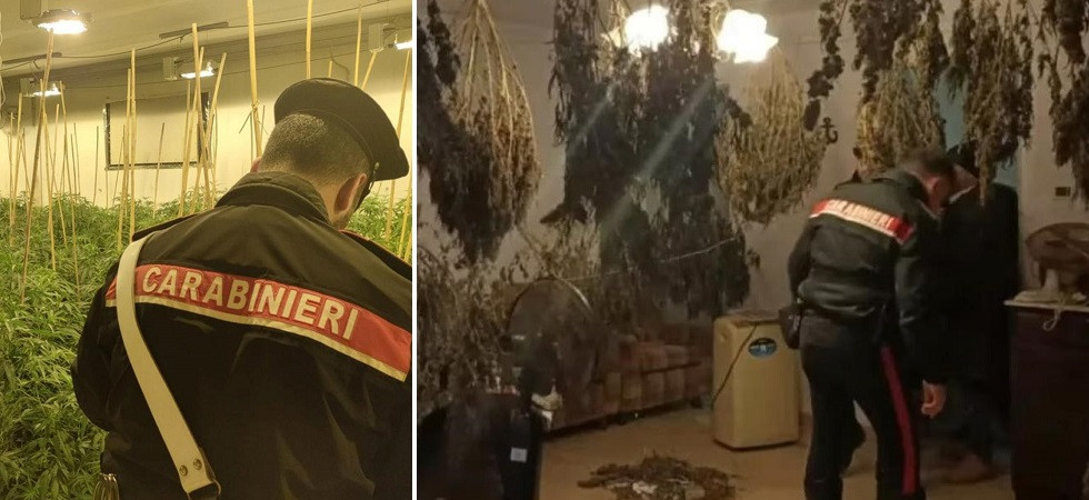 Fermato con una canna in casa aveva una serra: sequestrati 54 chili di marijuana